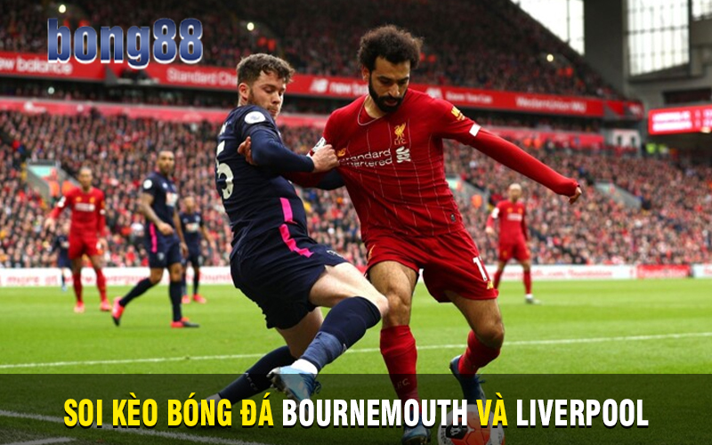 Soi kèo bóng đá Bournemouth và Liverpool 01